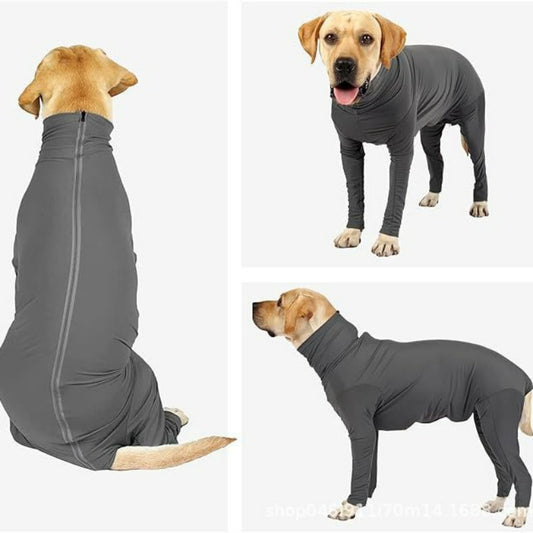 Professional dog surgery recovery suit with back zipper and full belly coverage