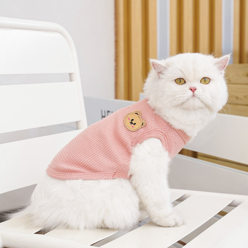 White cat model wearing a pink pet vest while sitting on a white chair, indoor scene

