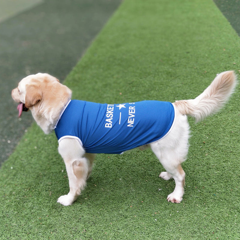 Large dog wearing a blue pet vest while standing, full side view

