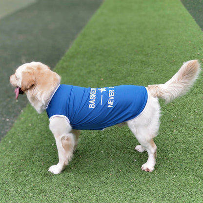 Large dog wearing a blue pet vest while standing, full side view
