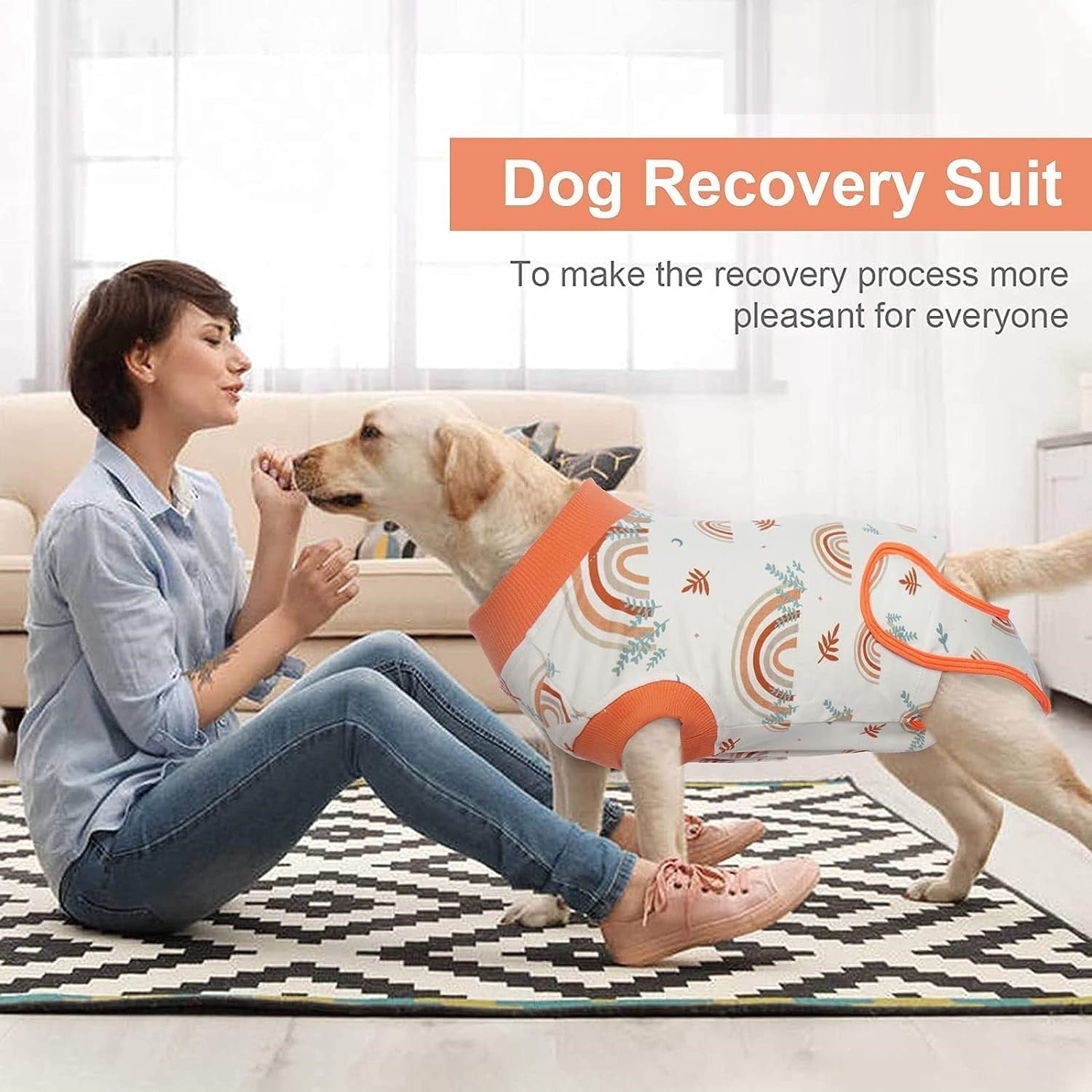 Full body recovery suit for dogs protecting belly wounds after neutering
