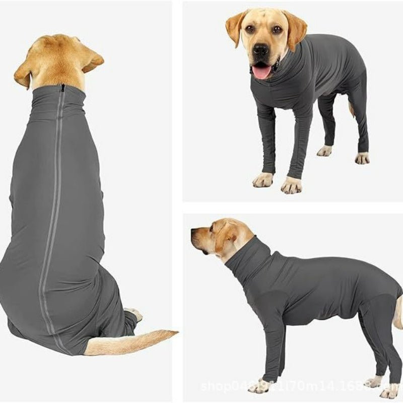 Professional dog surgery recovery suit with back zipper and full belly coverage

