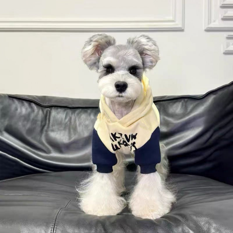 Custom Dog Hoodie Fleece Warm Color Block for Schnauzer & Bichon