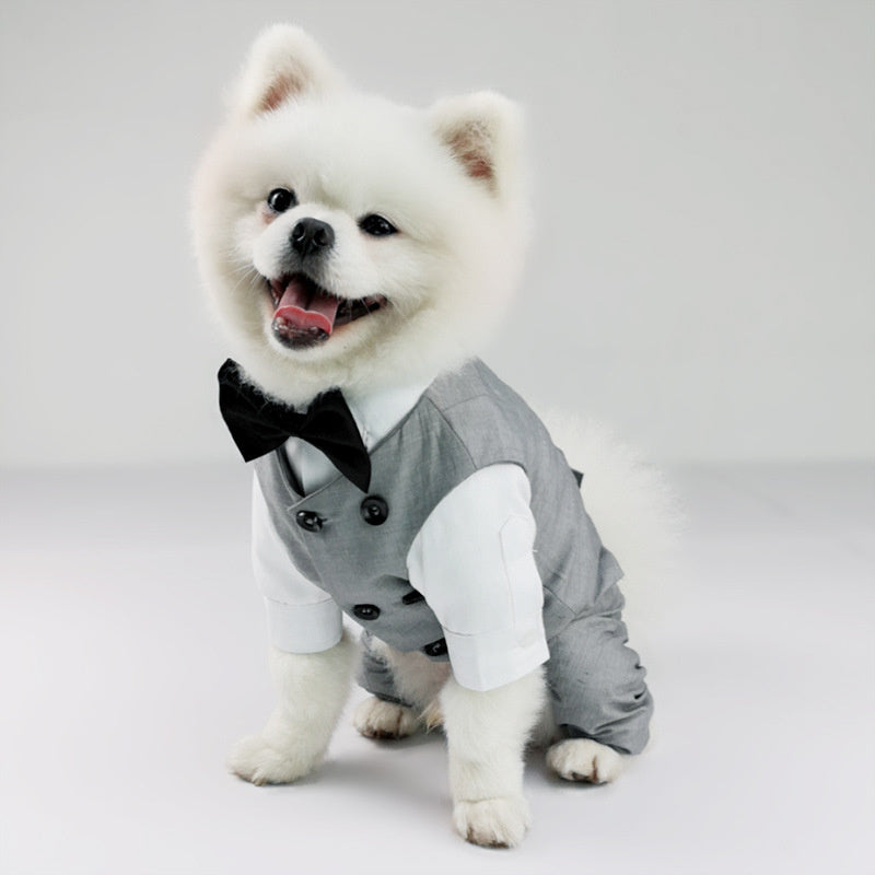 Personalized Dog Shirts: One-Piece Wedding Suit with Pants for Pets