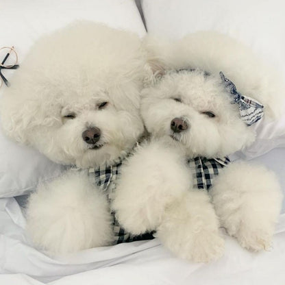 Dog Clothes Pajamas Soft Lightweight PJS for Small Dogs Cats Puppy