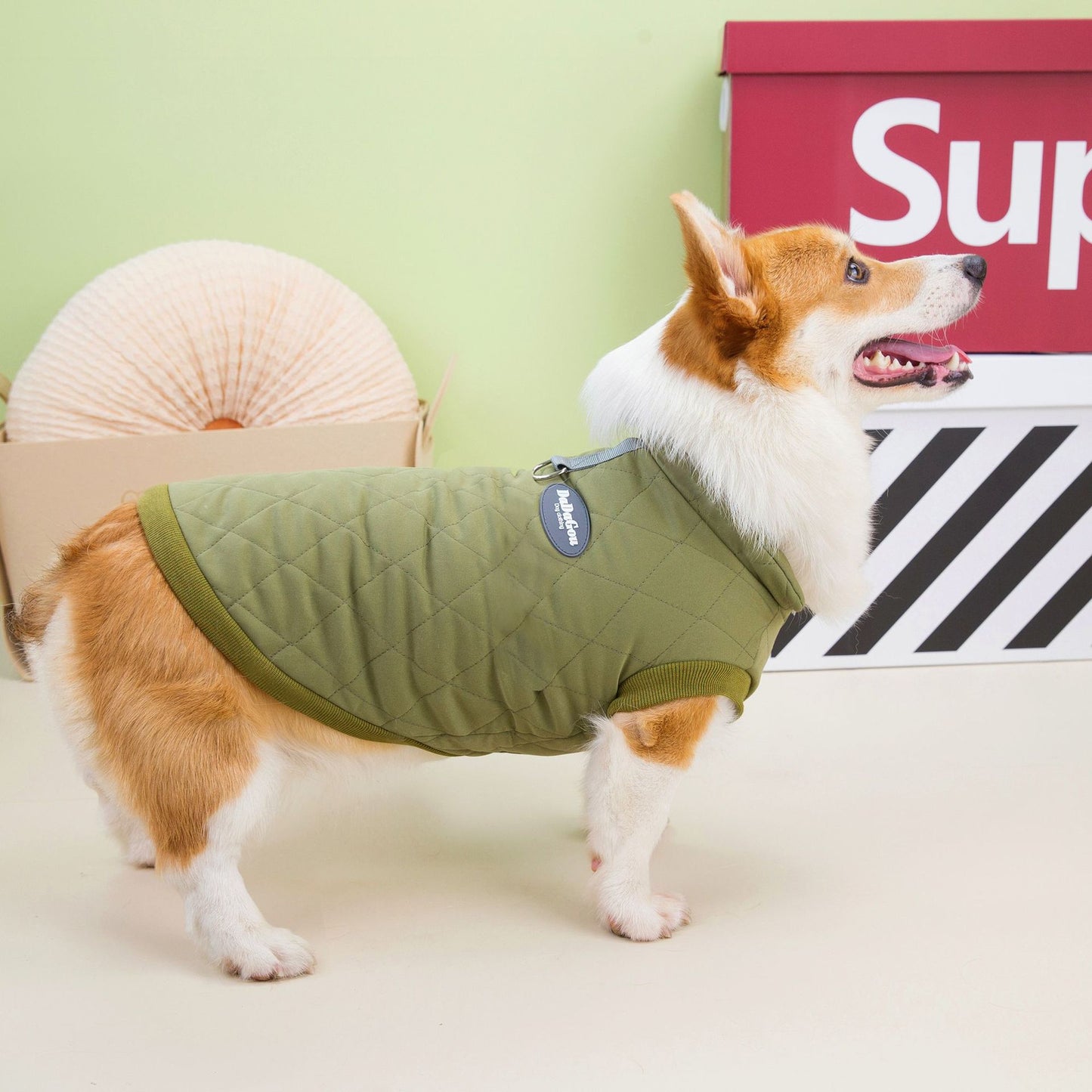 cde7d5b1-378e-4336-a03c-b79f0f28b259