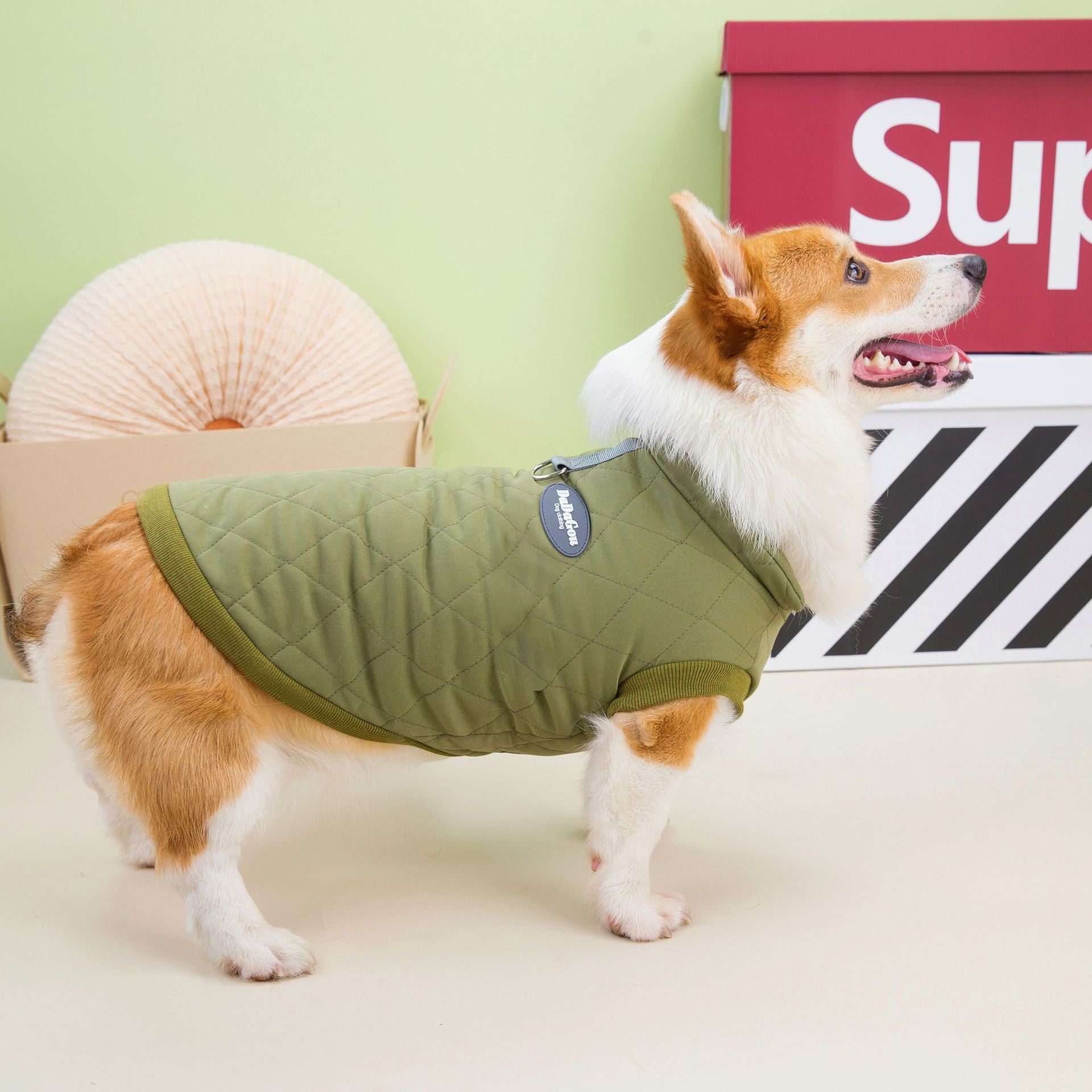 cde7d5b1-378e-4336-a03c-b79f0f28b259