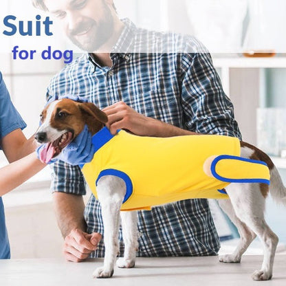 Suitical recovery suit for dogs for puppies and small breeds after spaying
