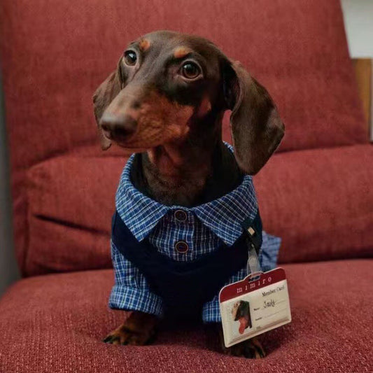 Big Dog T Shirts: Summer Plaid Vest & Shirt Set for Small Pets