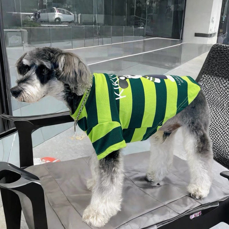 Small Schnauzer dog model wearing a lightweight striped pet shirt on a chair outdoors

