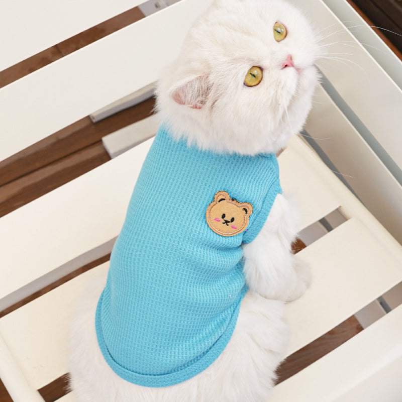 Small white dog model wearing a blue pet vest while standing on a wooden bench outdoors
