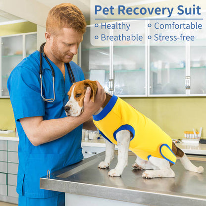 Suitical recovery suit for dogs as a stress-free alternative to the cone of shame
