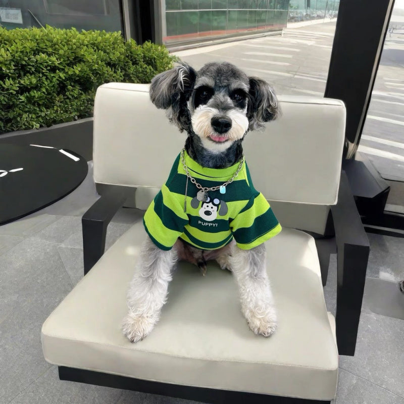 Breathable green and yellow striped dog vest for small breeds like Schnauzers and Terriers
