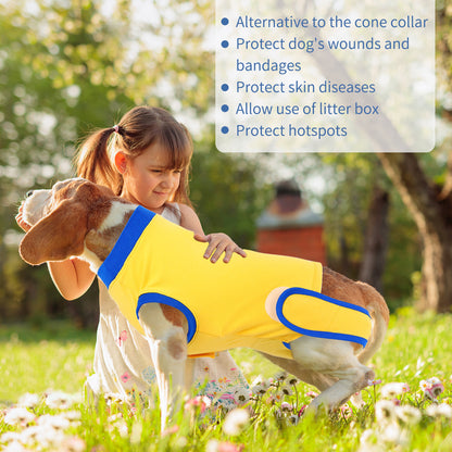 bcdf74e8-ebef-4d3a-8d6e-a9548d9f180f