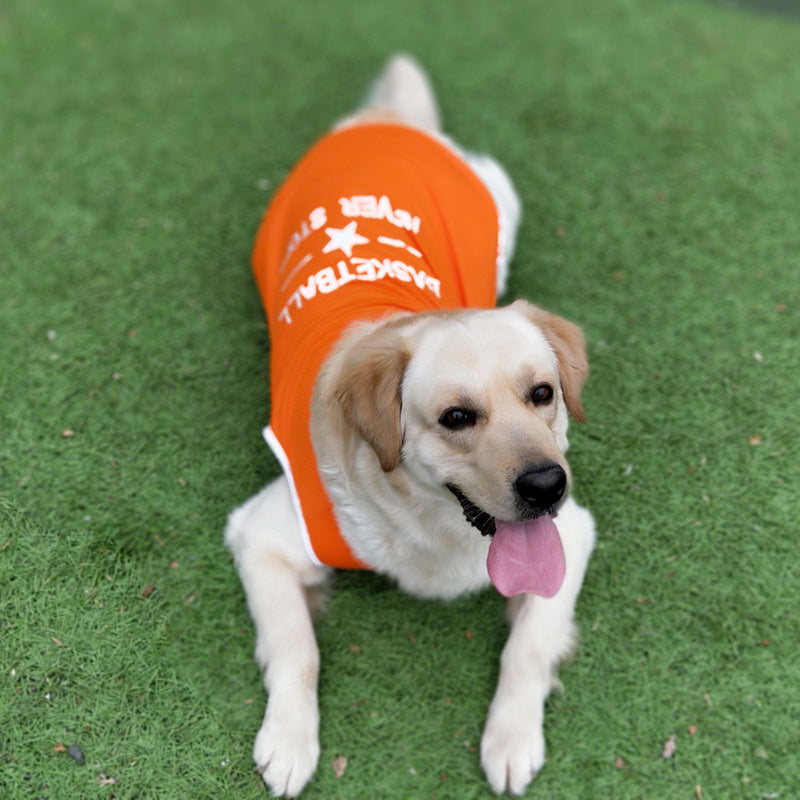 Large dog wearing an orange basketball pet vest, showing back print detail
