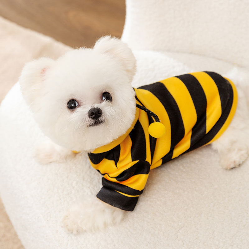 Hoodies for Dogs Cute Bumble Bee Costume for Small Dogs & Cats