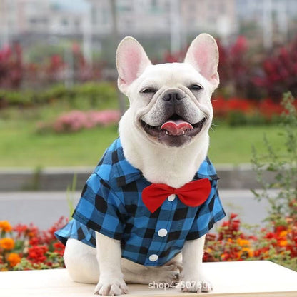 Big Dog T Shirts: Plaid Formal Wedding Suit for Medium & Large Dogs