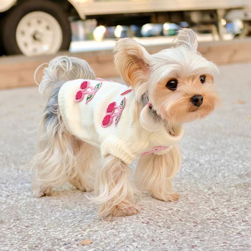 Dog Sweaters for Small Dogs Princess Cherry Design for Maltese Bichon