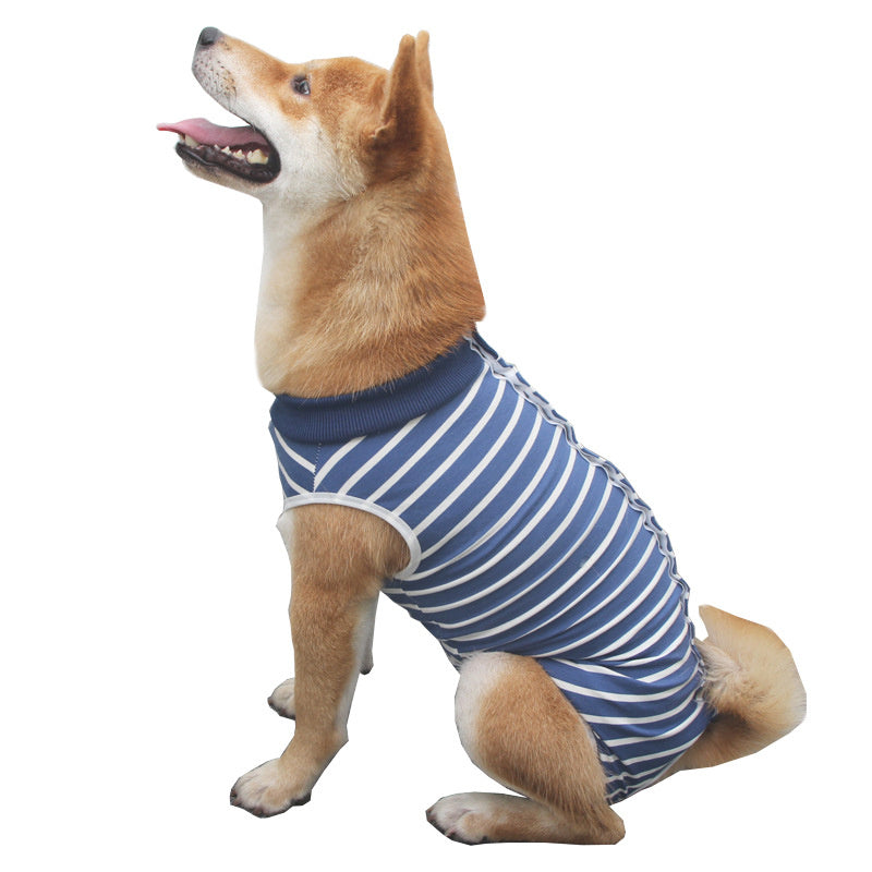 Blue and white striped recovery suit for dog preventing wound licking