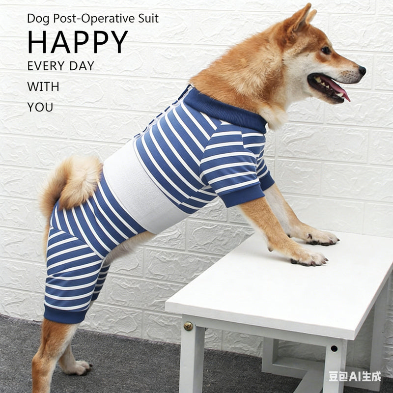 Full body striped recovery suit for dog with 4-leg protection
