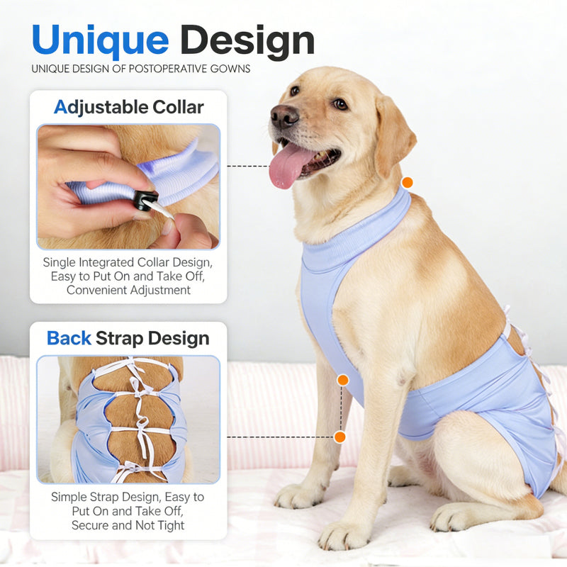 Full body surgical recovery suit for dogs with back zipper for easy dressing