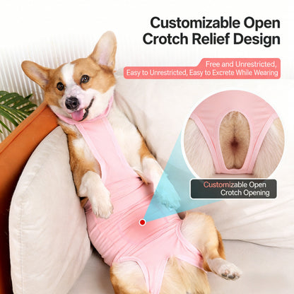 Large breed surgical recovery suit for dogs like Golden Retrievers after neutering