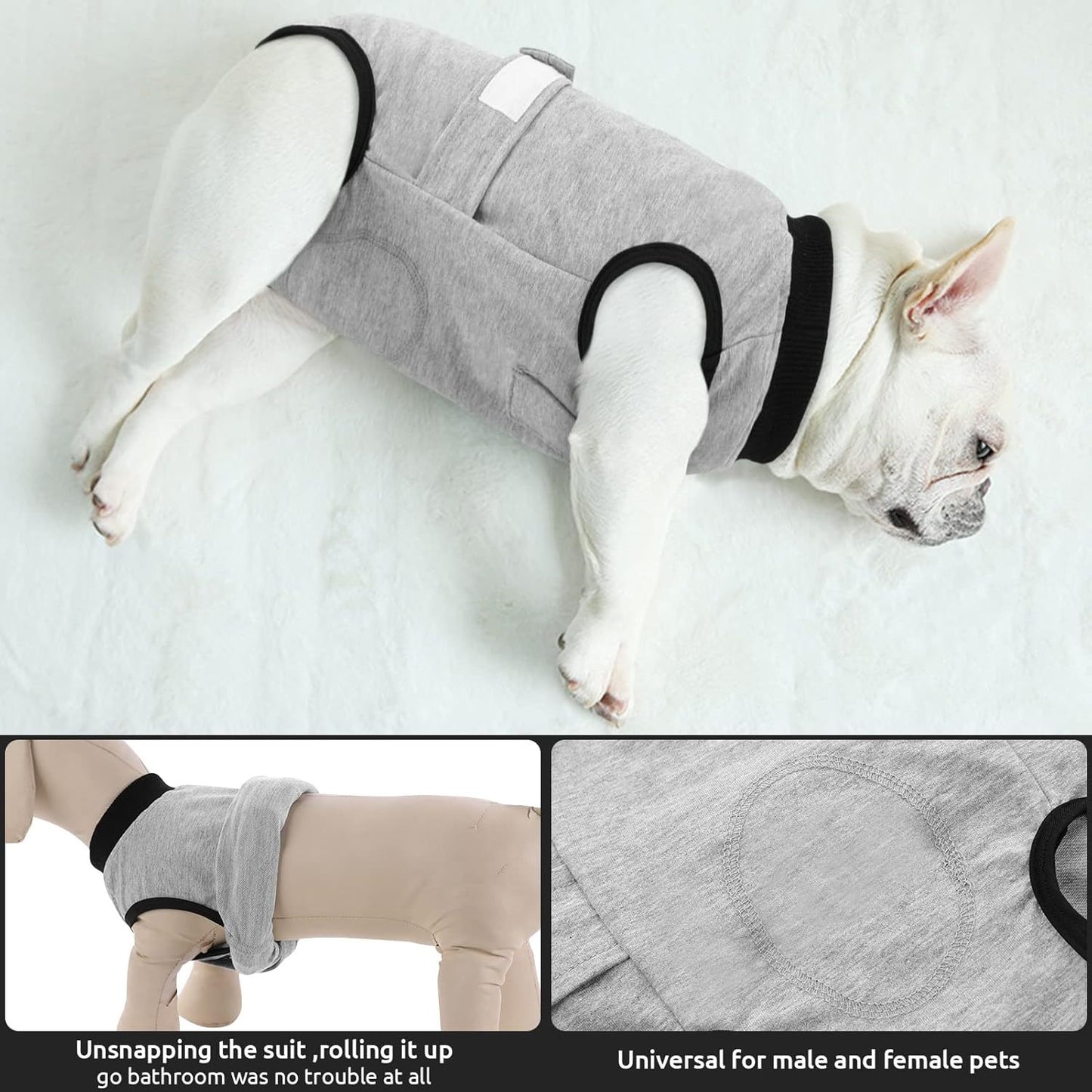 Large dog recovery suit for after surgery for Golden Retriever and Labradors