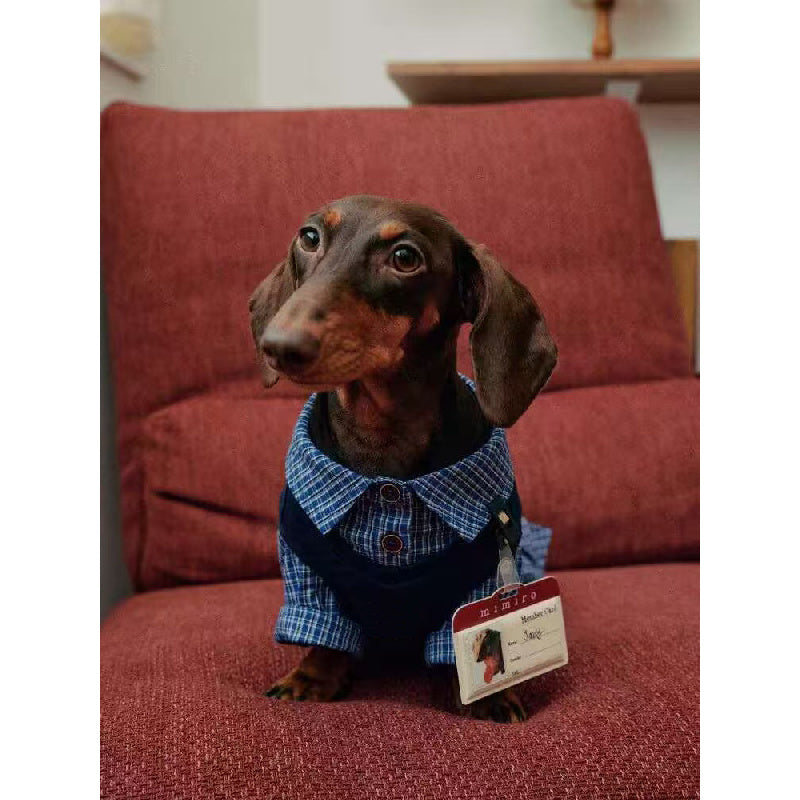 Big Dog T Shirts: Summer Plaid Vest & Shirt Set for Small Pets