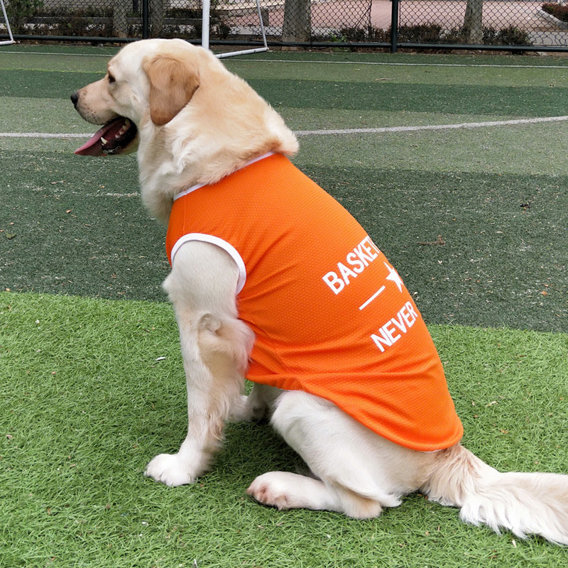 Dog model wearing an orange pet vest while sitting down on green grass
