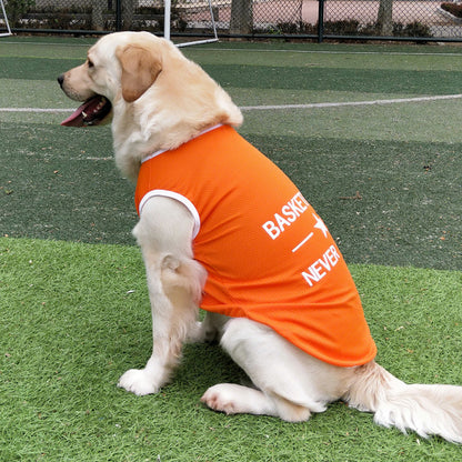 Dog model wearing an orange pet vest while sitting down on green grass
