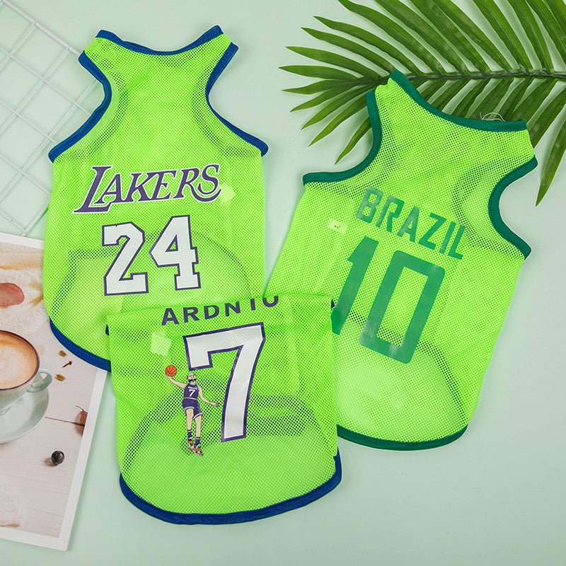 6e7fc117-e1c7-4264-bb25-ccbf9168ad50