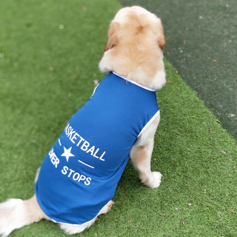 Large dog wearing a blue mesh dog vest while sitting and posing on the grass
