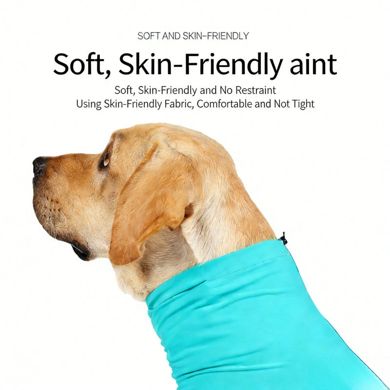 Dog surgery recovery suit with back zipper and adjustable high collar for protection
