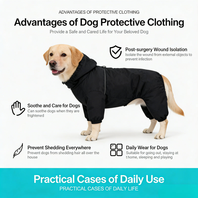 Close-up of the smooth back zipper on a professional dog surgery recovery suit
