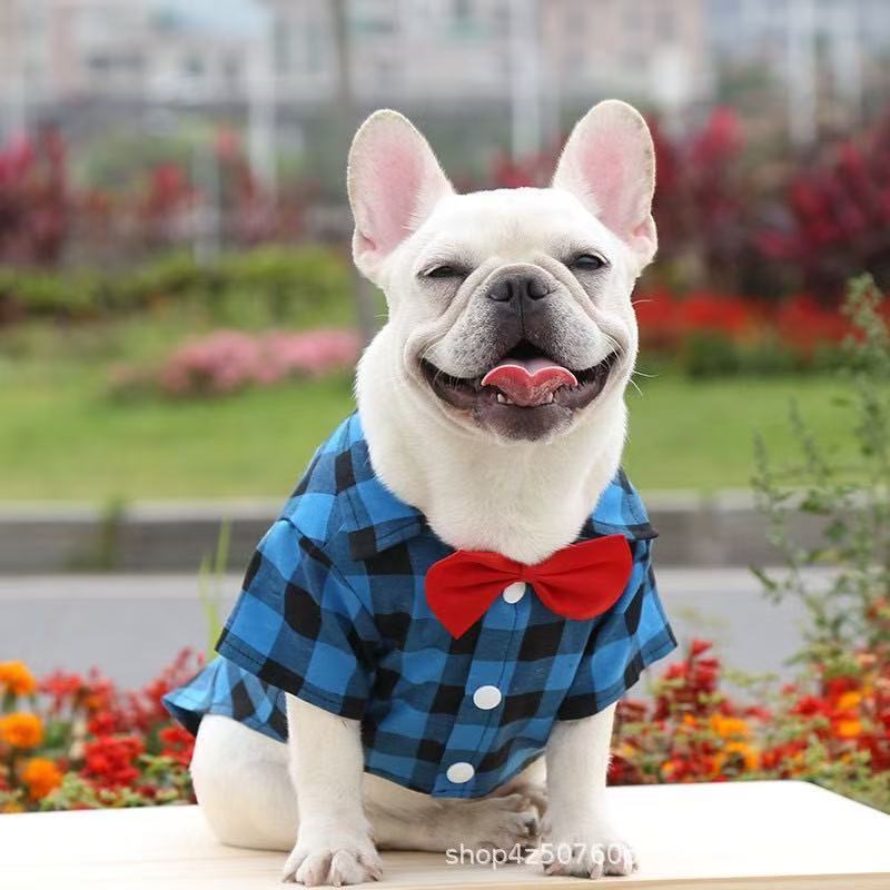 Big Dog T Shirts: Plaid Formal Wedding Suit for Medium & Large Dogs
