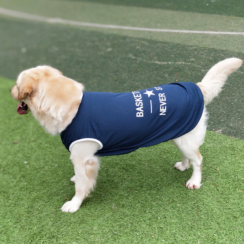 Dog model wearing a dark blue pet vest with "BASKETBALL" print, outdoor setting

