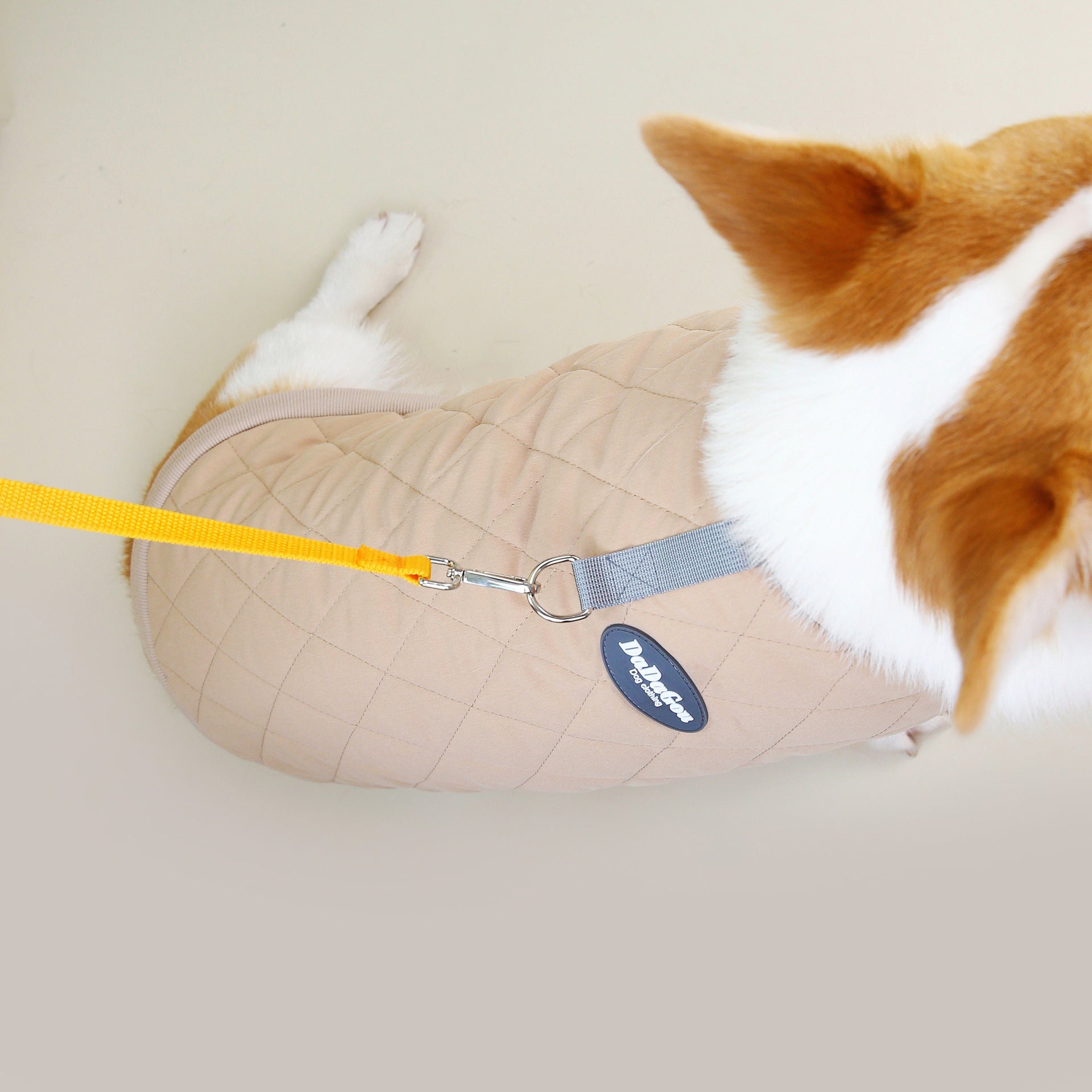 43525120-9f88-4ce2-9820-ecb83925bc46