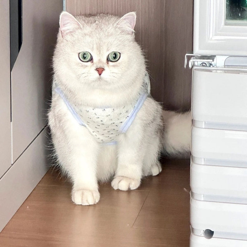 Collection image of multiple cats wearing different styles of thin printed pet clothes