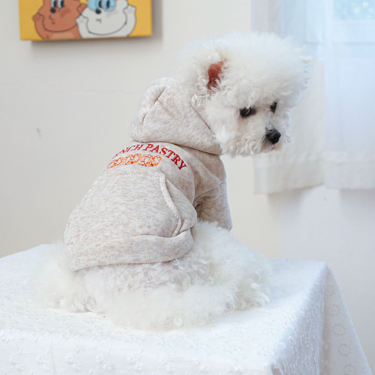 Cute Dog Hoodie Padded Jacket for Schnauzer, Small Dogs & Puppies