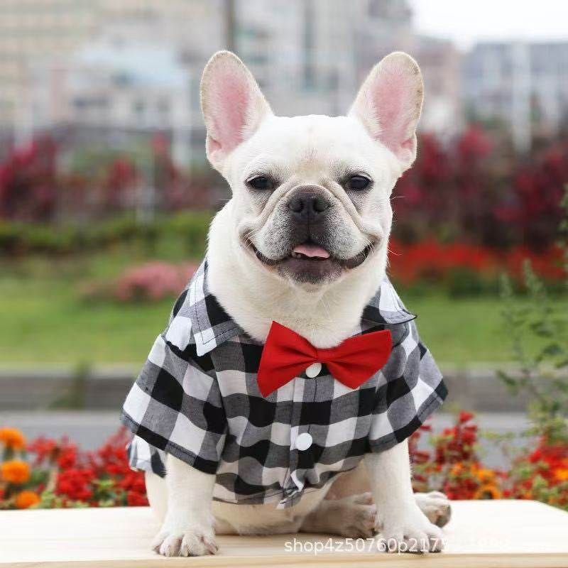 Big Dog T Shirts: Plaid Formal Wedding Suit for Medium & Large Dogs