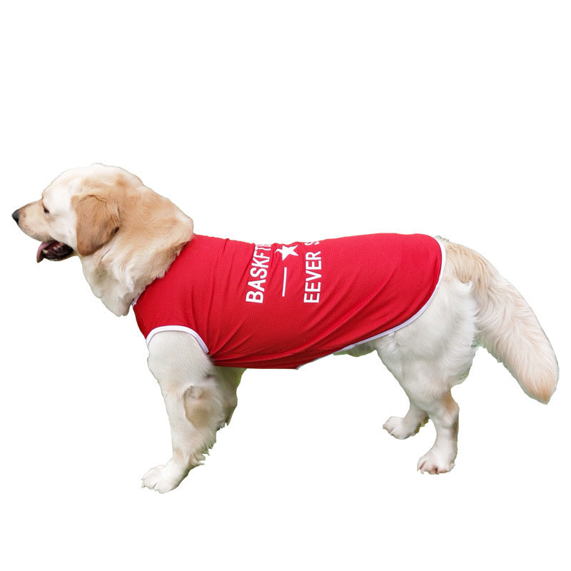 Golden Retriever dog model wearing a red basketball pet vest for summer apparel
