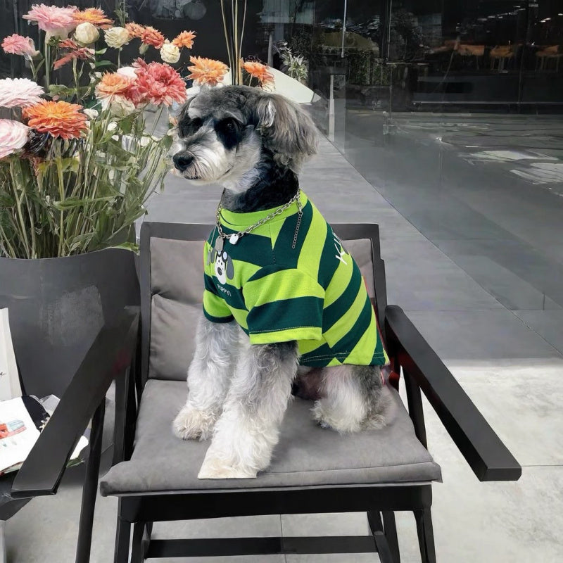 Cute summer dog vest with blue trim and unique graphic prints for puppies
