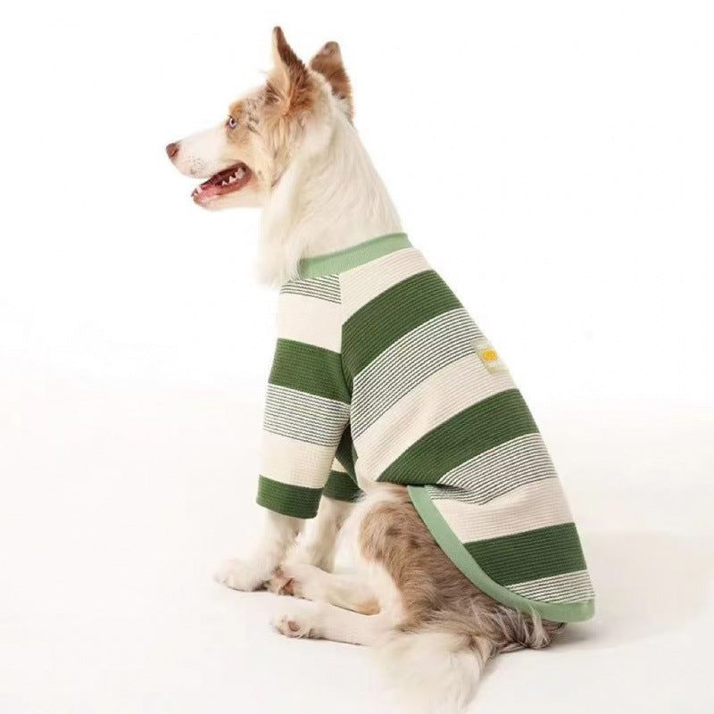 dog recovery suit after neutering