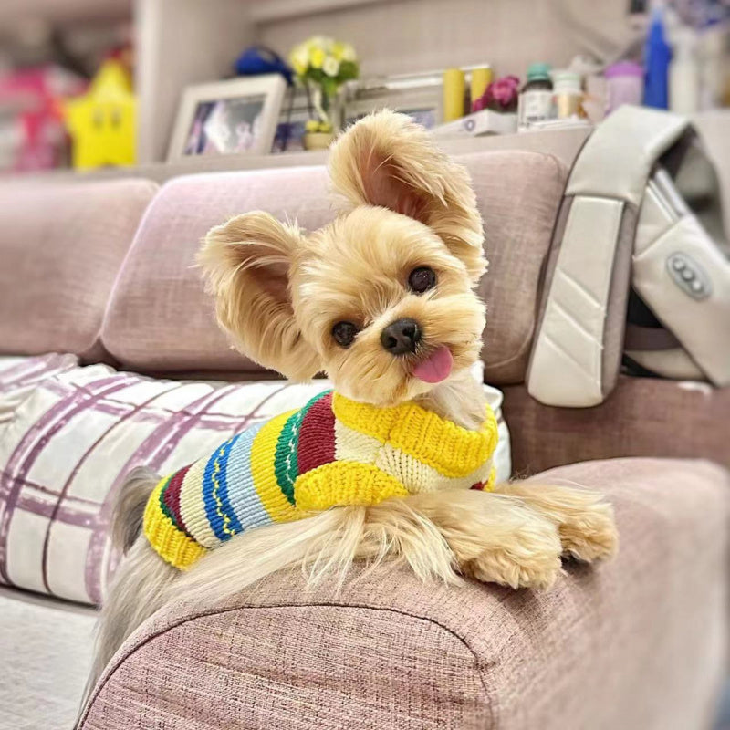 Sweaters for Small Dogs Rainbow Knit Vest for Yorkie, Bichon & Maltese