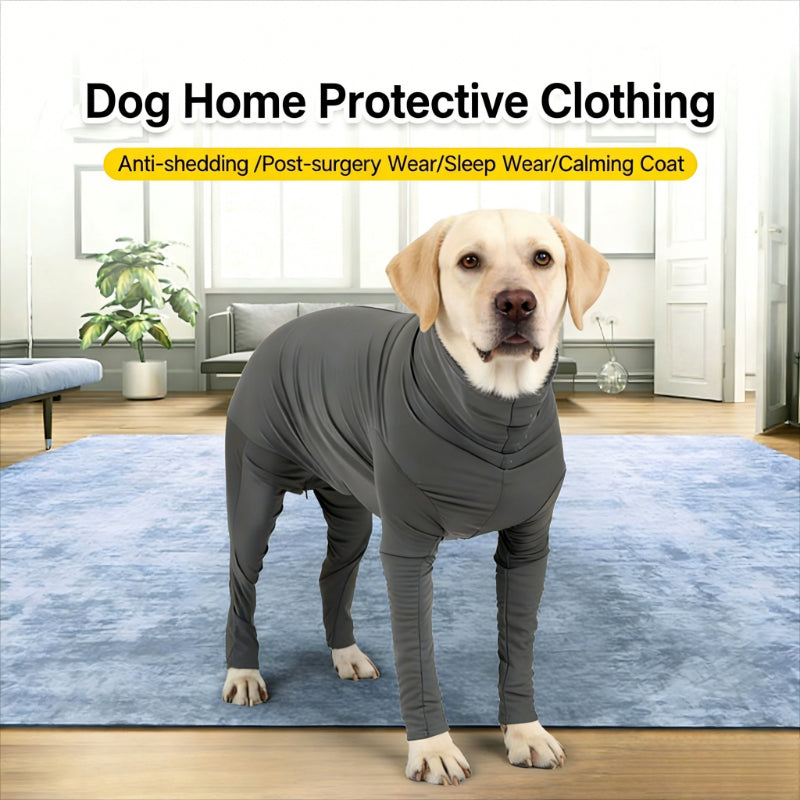 Soft cotton dog surgery recovery suit with back zipper as a secure cone alternative
