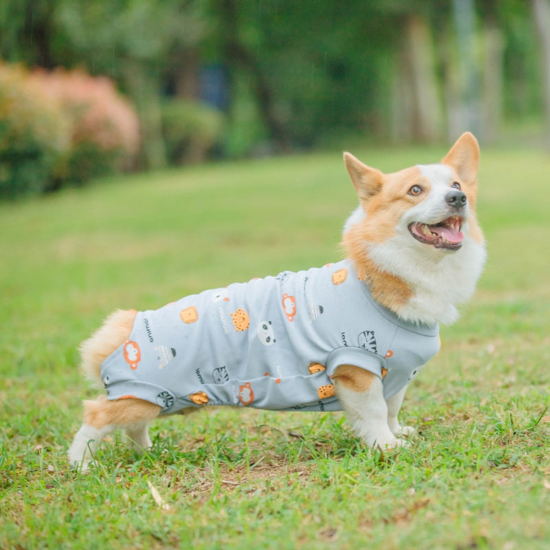 Dog Pajamas Soft Thermal Loungewear for Small Dogs & Puppies