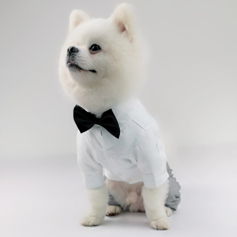 Personalized Dog Shirts: One-Piece Wedding Suit with Pants for Pets