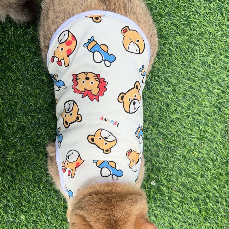 Pet product display featuring a kitten model and a flat lay of printed pet vests