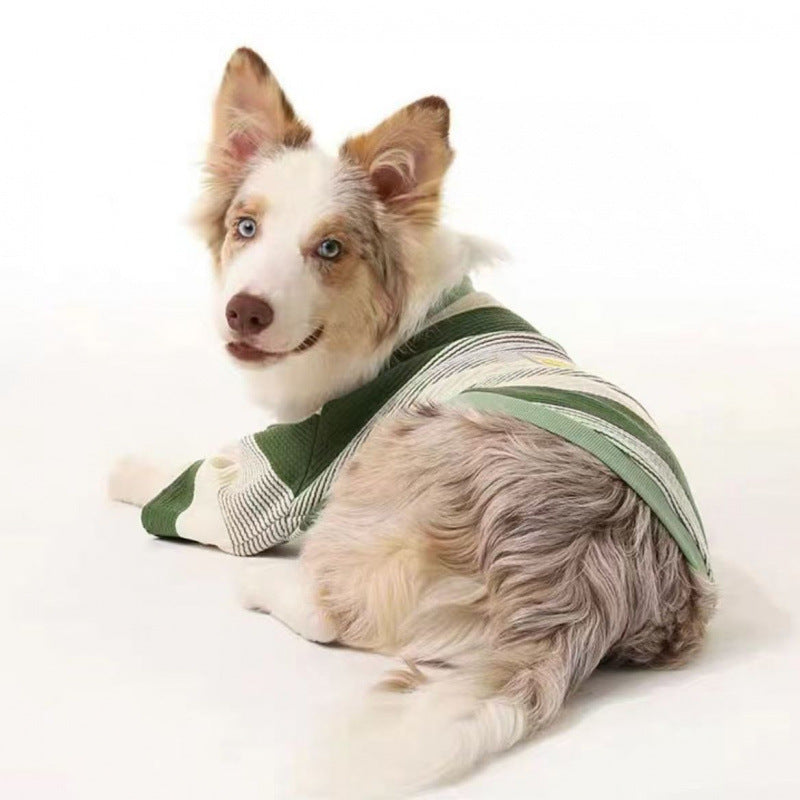 recovery suit for dog