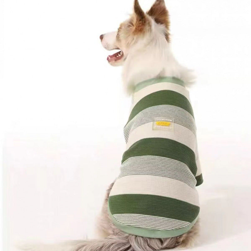 recovery suits for dogs​